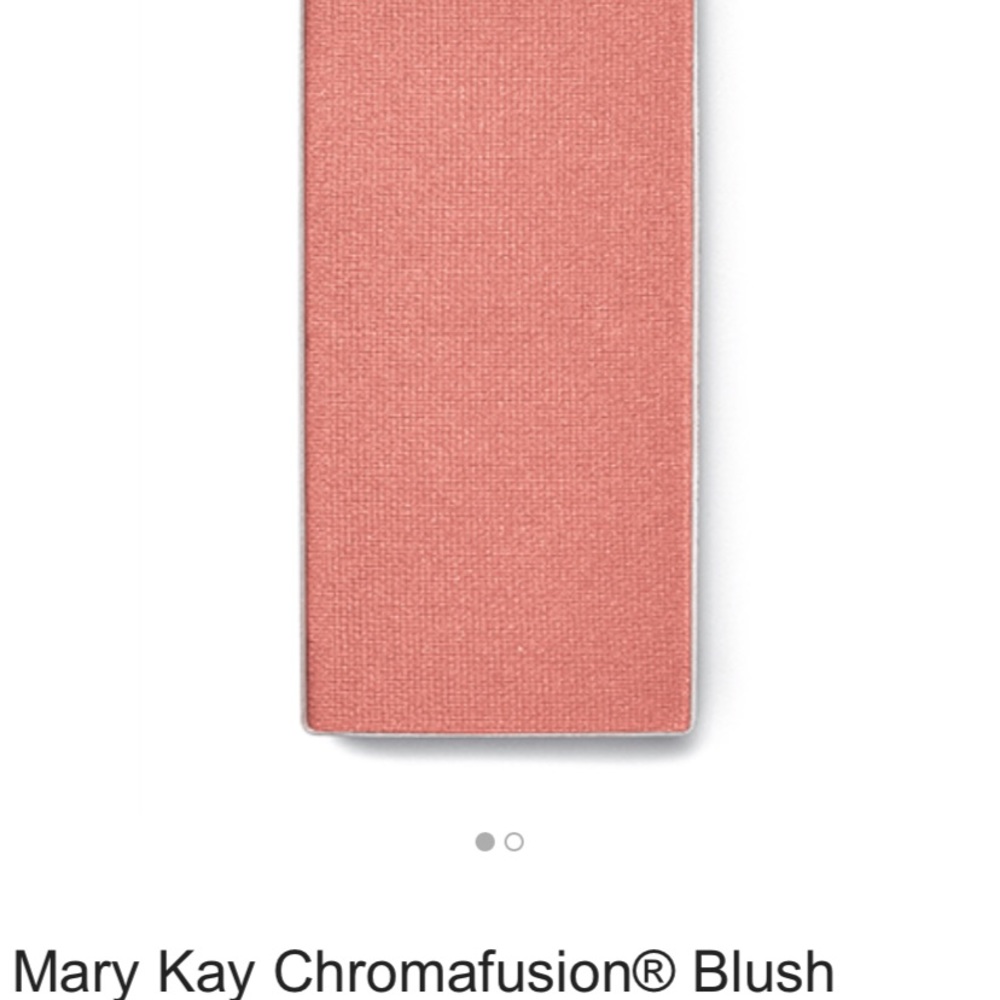 Mary Kay ‘Shy Blush’ (shimmer) Blush